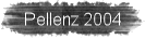 Pellenz 2004